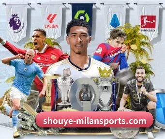 米兰体育app入口 APP - milansports