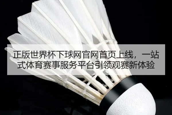 正版世界杯下球网官网首页上线，一站式体育赛事服务平台引领观赛新体验
