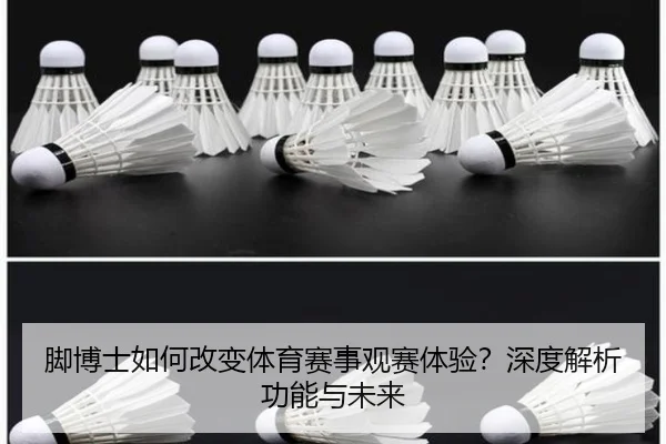 脚博士如何改变体育赛事观赛体验？深度解析功能与未来